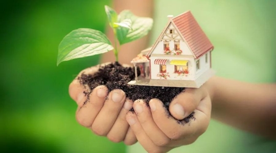little house on top of the soil
