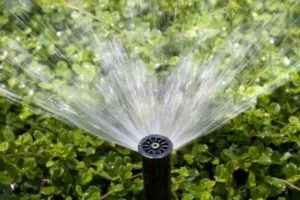 sprinkler system