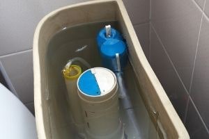 water level in a toilet flush